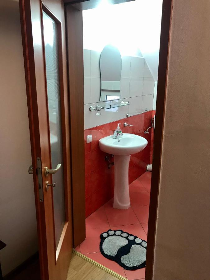 Pensiunea Morosanu Borşa Exteriör bild