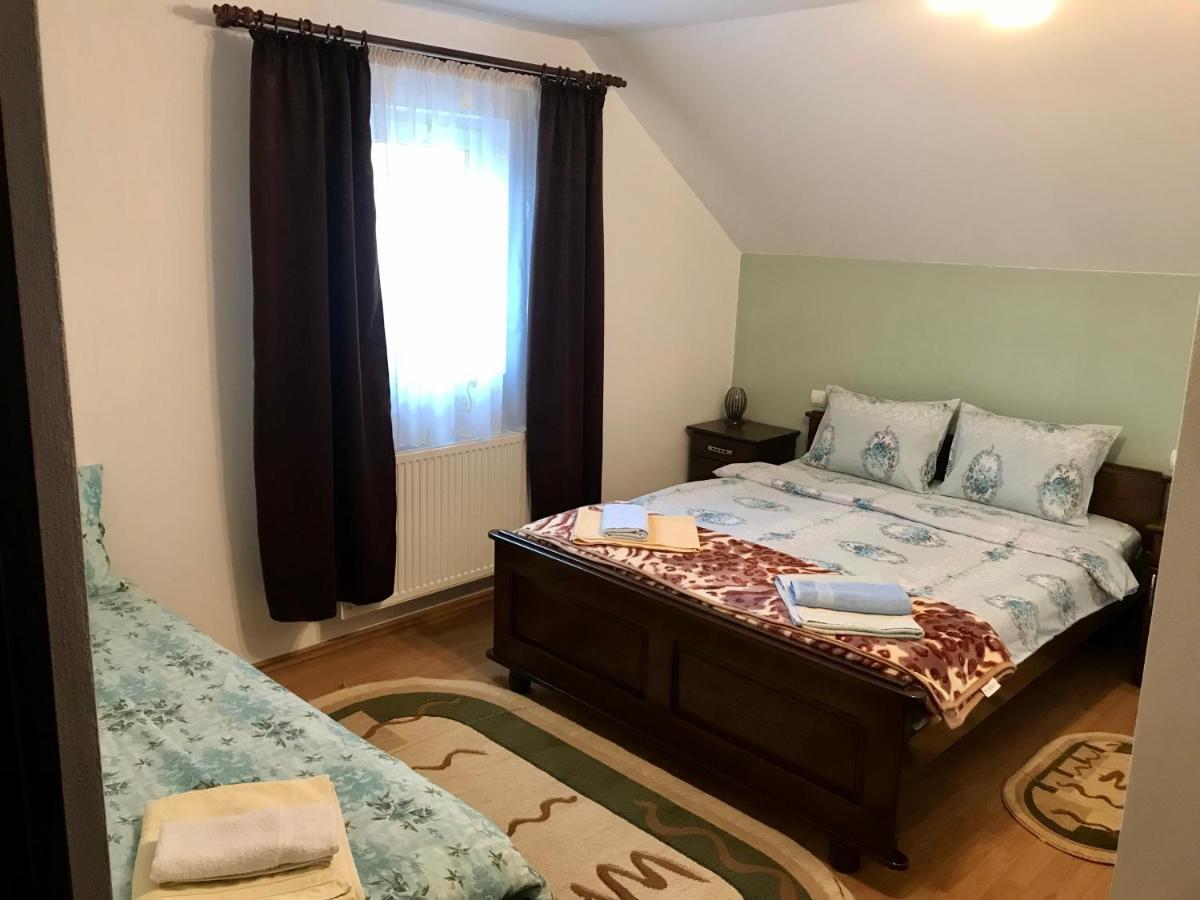 Pensiunea Morosanu Borşa Exteriör bild